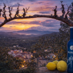 CDFFEF9F D2A3 4A06 B912 1ABAFDE9C6FE 150x150